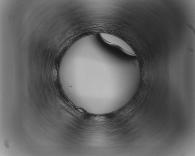 X0000103460324200809261846