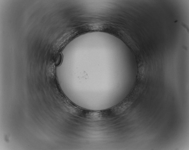 X0000103460325200809261846