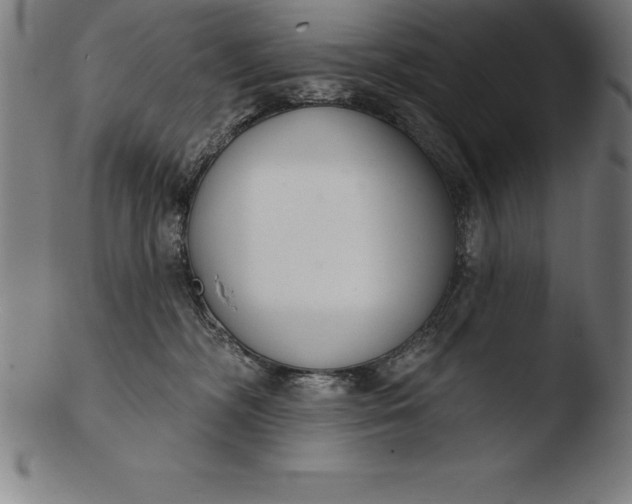 X0000103460326200809261846