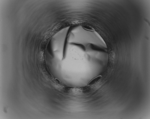 X0000103460327200809261846