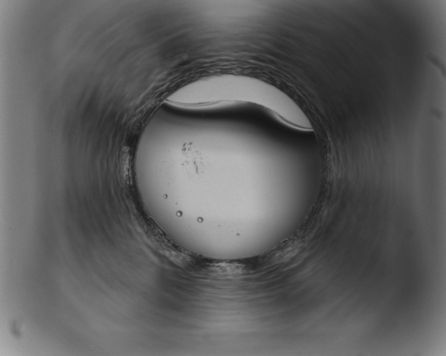 X0000103460328200809261846