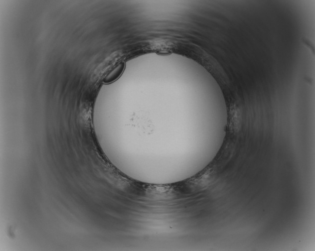 X0000103460329200809261846