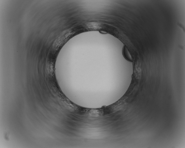 X0000103460330200809261846