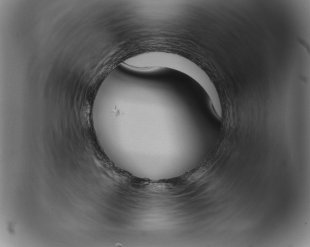 X0000103460332200809261846