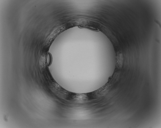 X0000103460333200809261846