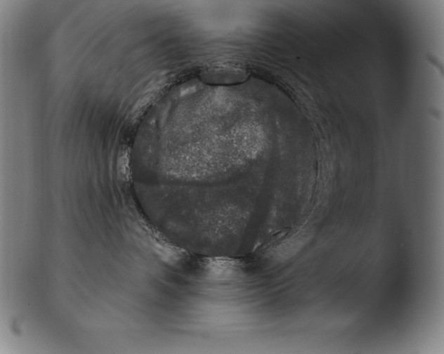 X0000103460336200809261846