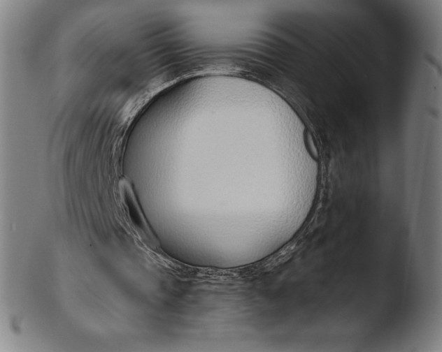 X0000103460337200809261845