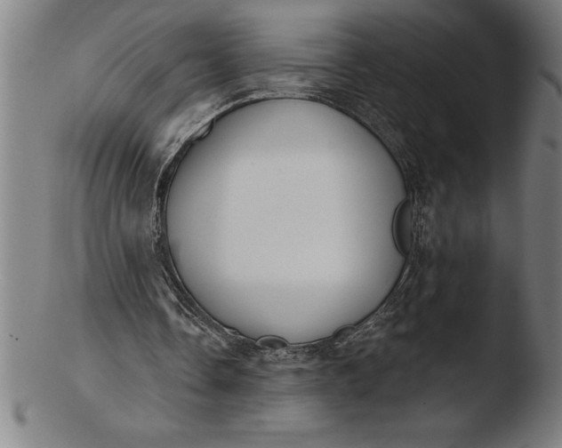 X0000103460338200809261845