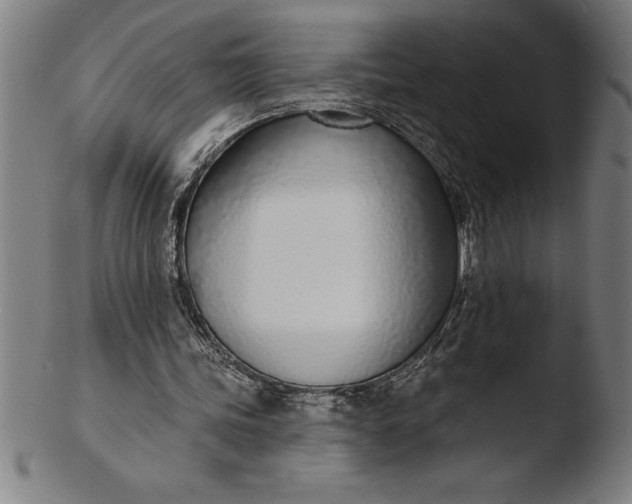 X0000103460339200809261845