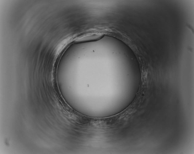 X0000103460340200809261845