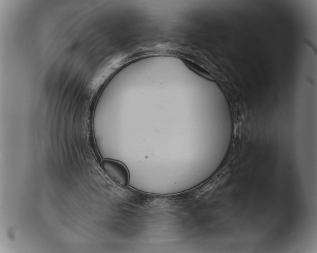 X0000103460341200809261845