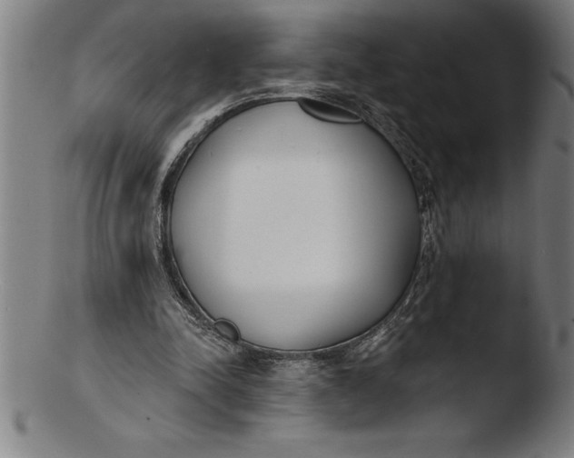 X0000103460342200809261845