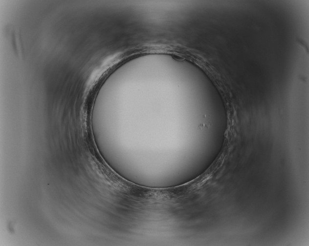 X0000103460343200809261845