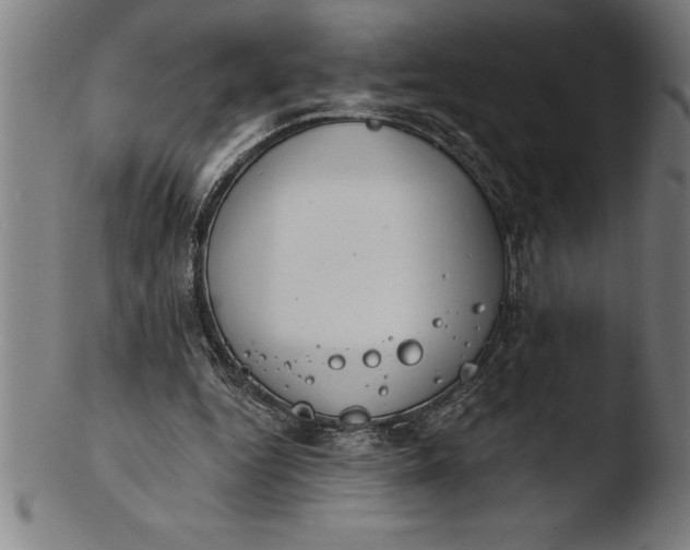 X0000103460344200809261845