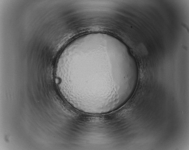 X0000103460347200809261846