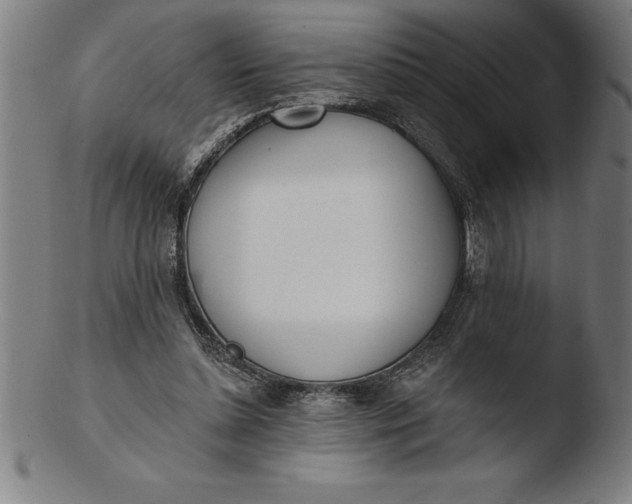 X0000103460348200809261846