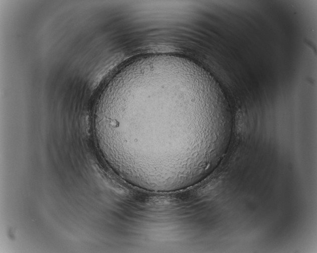 X0000103460351200809261846