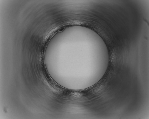 X0000103460352200809261846