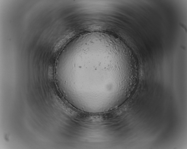 X0000103460353200809261846