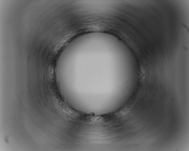 X0000103460355200809261846