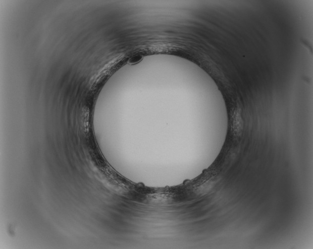 X0000103460356200809261846