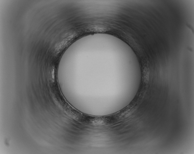 X0000103460358200809261846