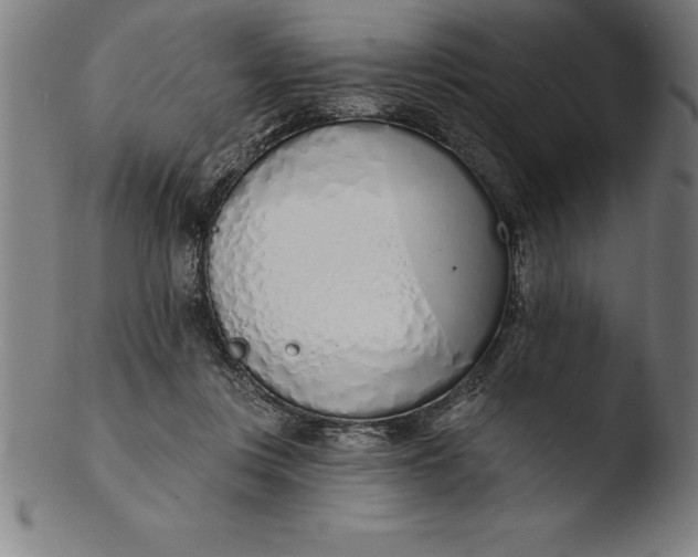 X0000103460359200809261846