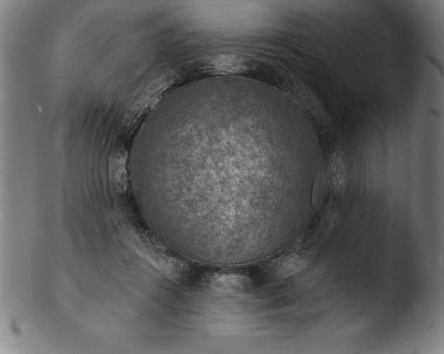 X0000103460360200809261846