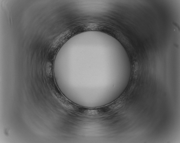 X0000103460361200809261846