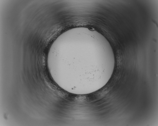 X0000103460362200809261846