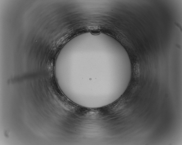 X0000103460364200809261846