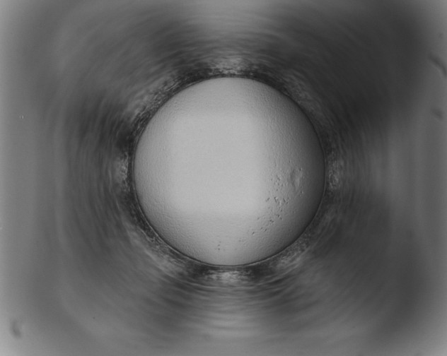 X0000103460365200809261846