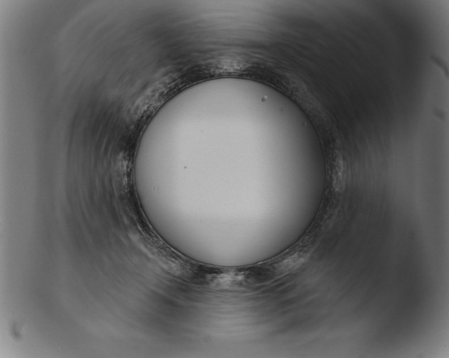 X0000103460366200809261846