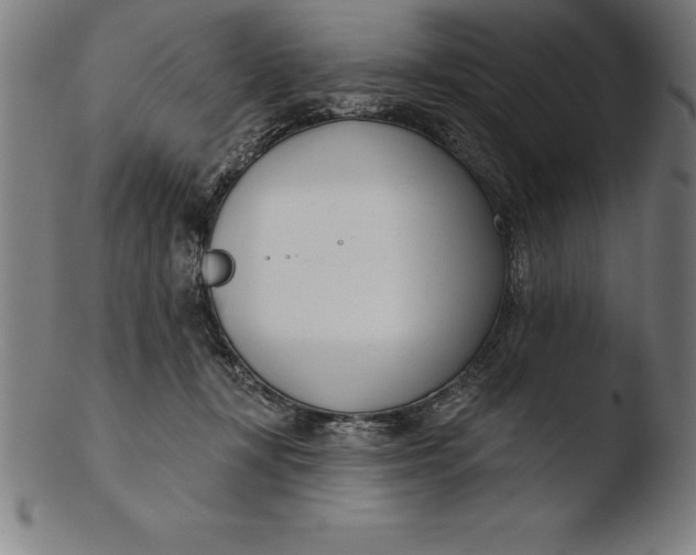 X0000103460367200809261846