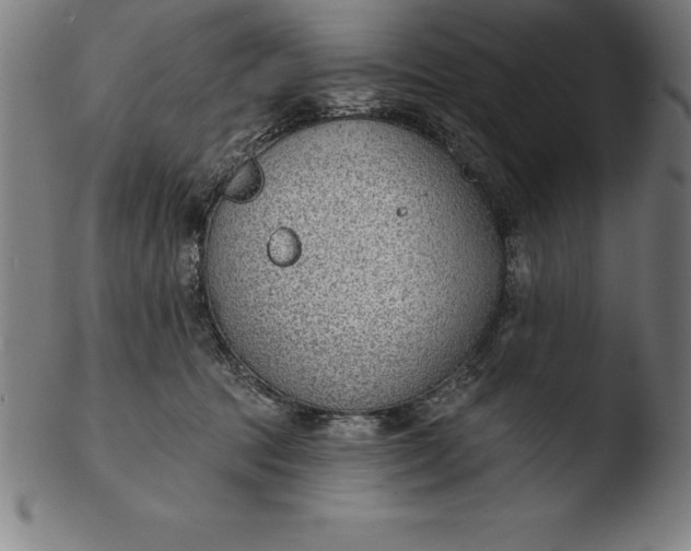 X0000103460369200809261846