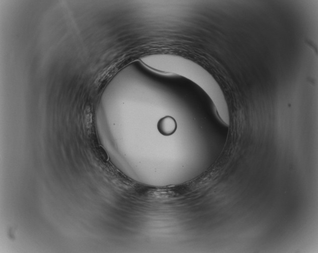 X0000103460372200809261846