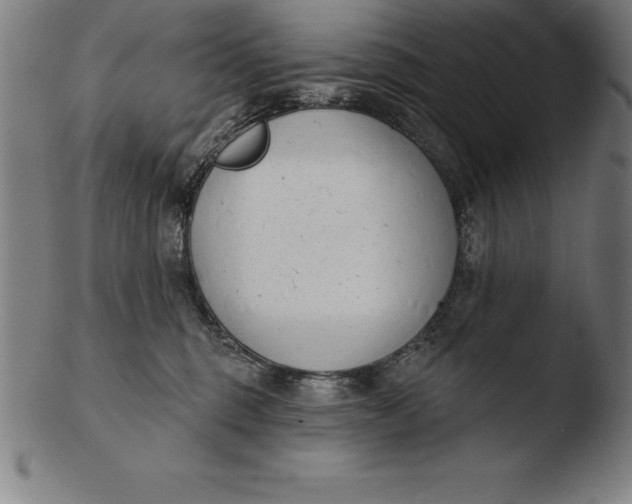 X0000103460375200809261846