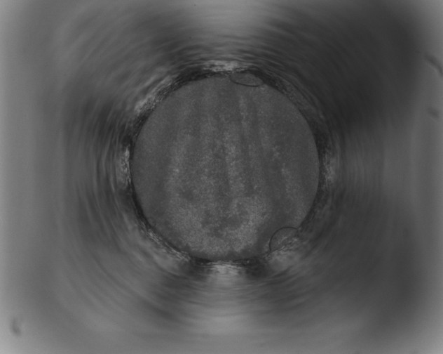 X0000103460376200809261846