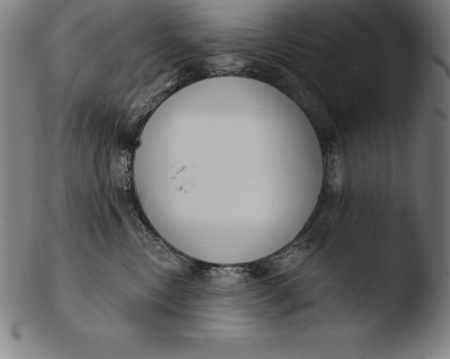 X0000103460378200809261846