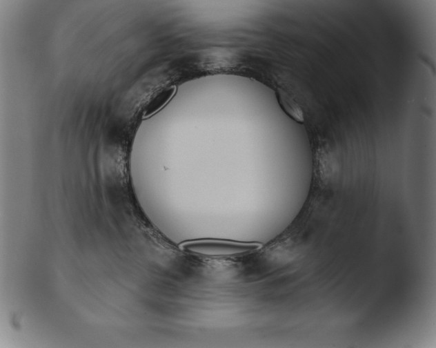 X0000103460380200809261846