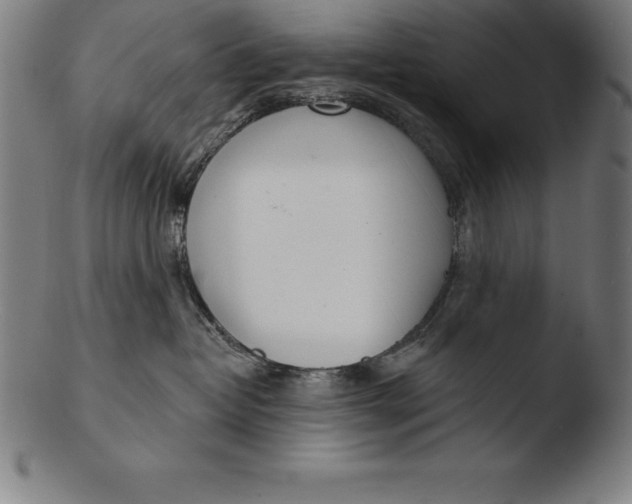 X0000103460382200809261846