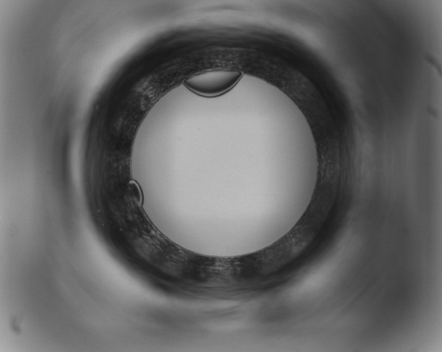 X0000103460383200809261846