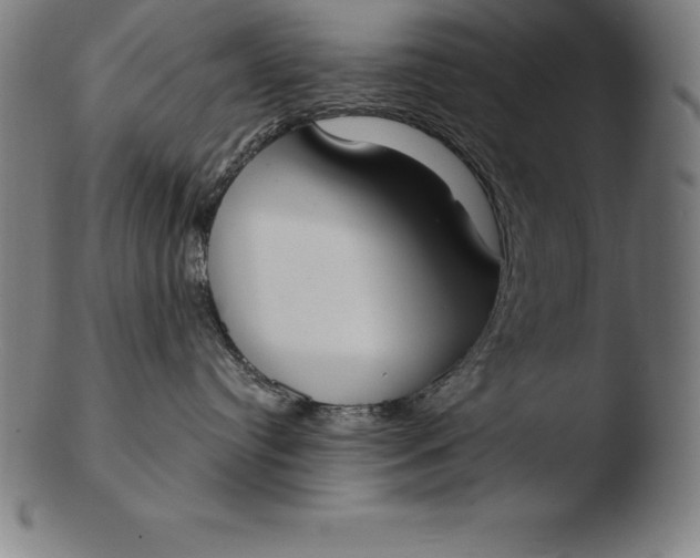 X0000103460384200809261846