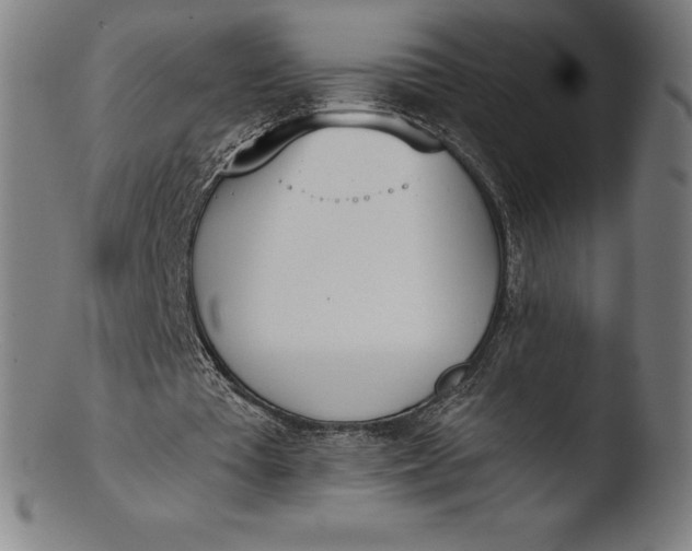 X0000103460385200809261845