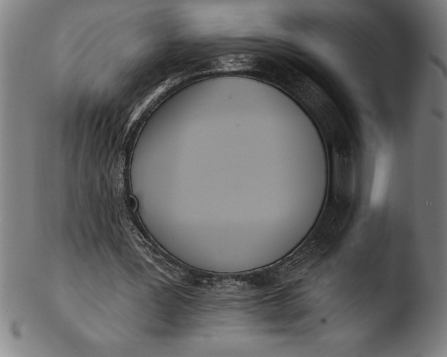 X0000103460387200809261845