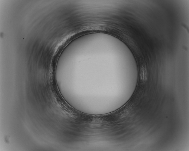 X0000103460388200809261845