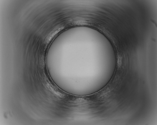 X0000103460390200809261845