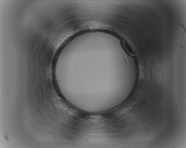 X0000103460391200809261845