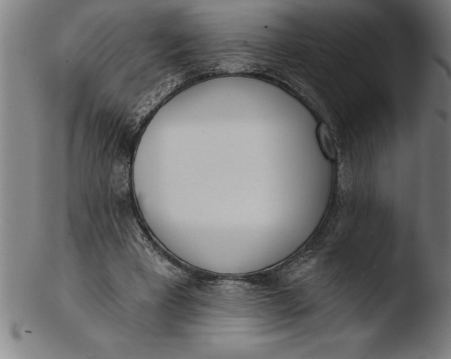 X0000103460393200809261845