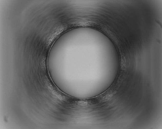 X0000103460394200809261845